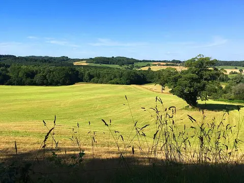 Domaine Les Filloux
