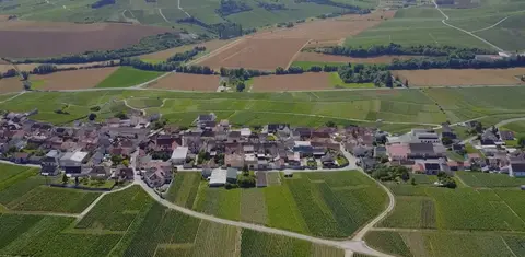 Champagne Le Gouive