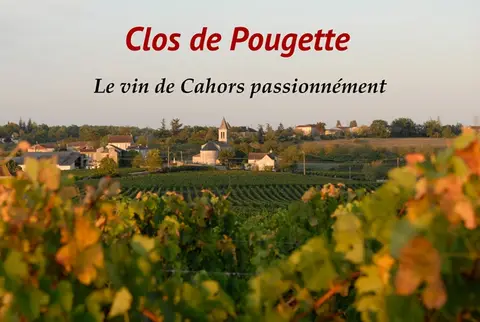 Clos de Pougette