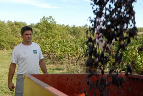 Clos de Pougette