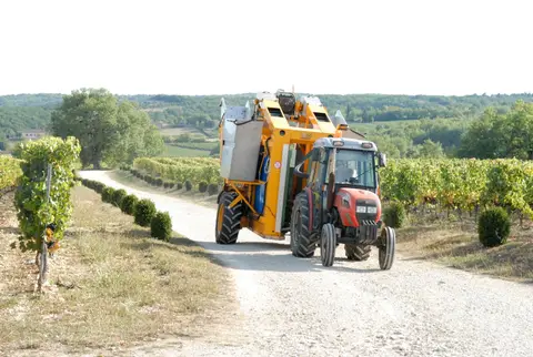 Clos de Pougette