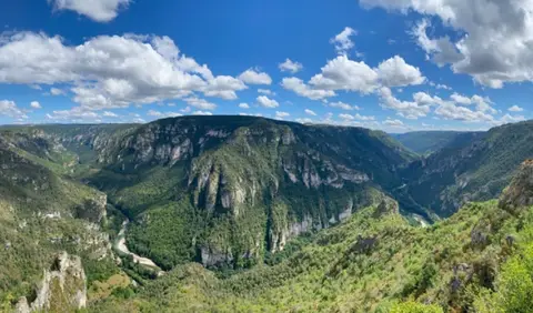 Aire Massegros, Gorges du Tarn