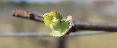 Aire Domaine du Vivier - Monthou-sur-Bievre
