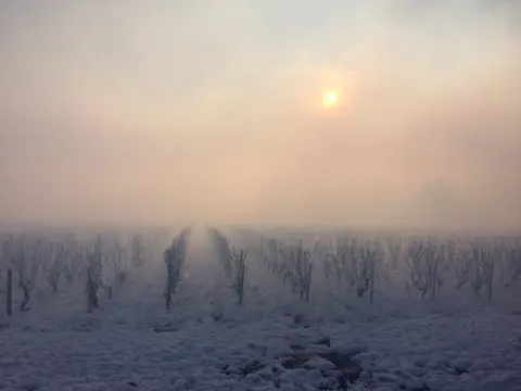 Domaine de la Croix Mélier