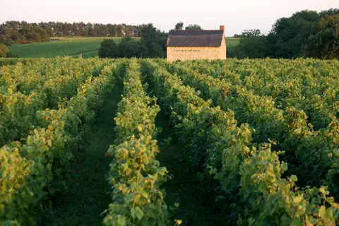 Domaine de la Croix Mélier