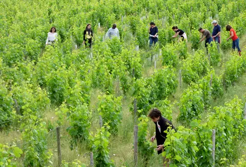 Domaine de la Croix Mélier
