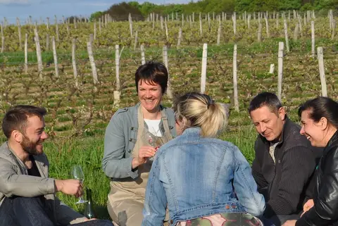 Aire Vignoble Alain Robert