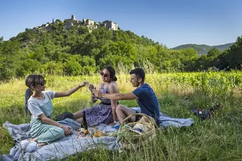 Aire de camping-car Mas d'Intras