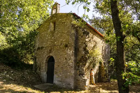 Le Domaine de Cousignac