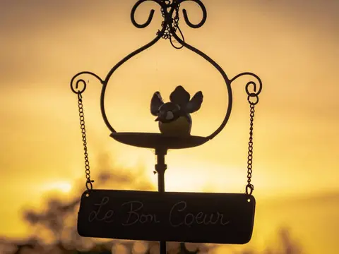 Le Bon Coeur