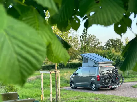 Le Bon Coeur