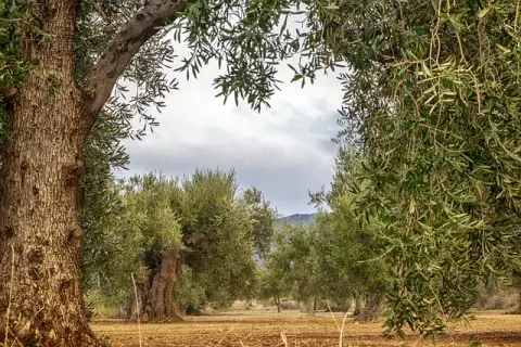 Aire de camping-car Le Moulin d’Uzès