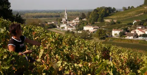 Aire de camping-car Château Cassagne Haut-Canon