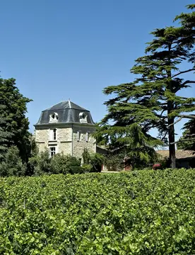 Aire de camping-car Château Cassagne Haut-Canon