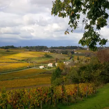 Aire de camping-car Château Cassagne Haut-Canon