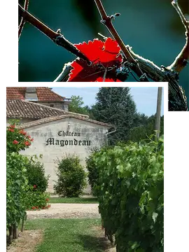 Chateau Magondeau
