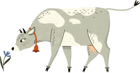 Maisterplan