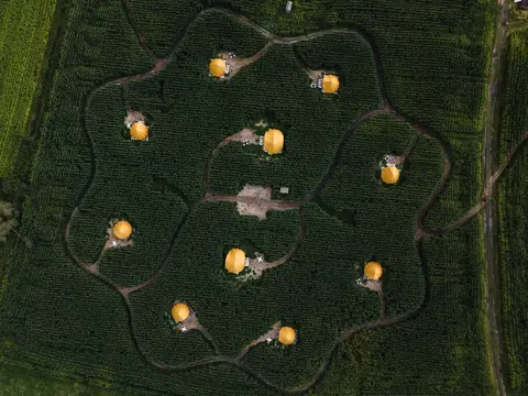 Maisterplan