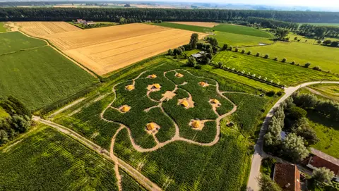 Maisterplan