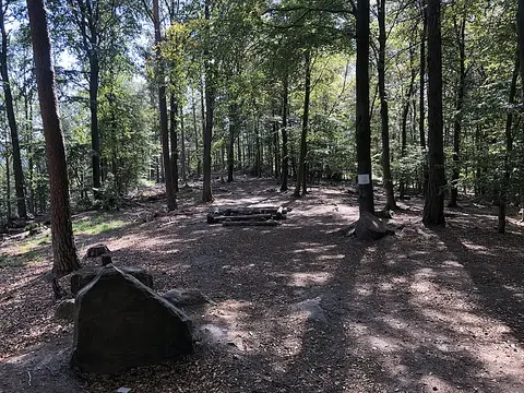 Trekking Pfalz: Heldenstein