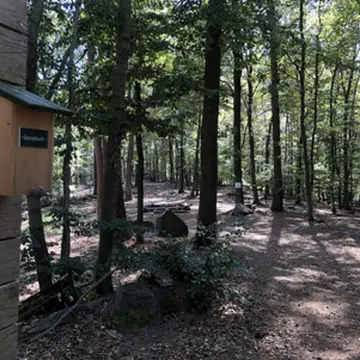 Trekking Pfalz: Heldenstein
