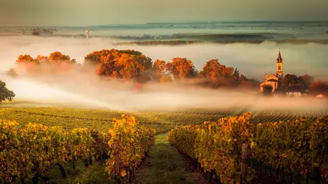 Accueil Camping-Cars à la Maison des Vins de Cadillac