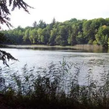 Trekking Pfalz: Ramsen