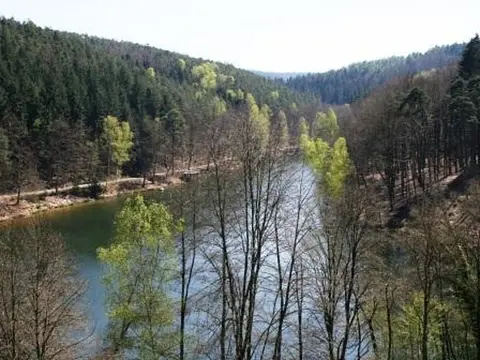 Trekking Pfalz: Ramsen