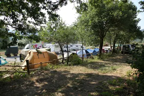 Camping Horse