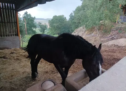 Ferme de Prinçay