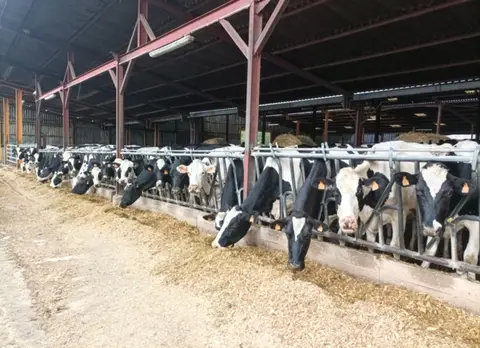 Ferme de Prinçay