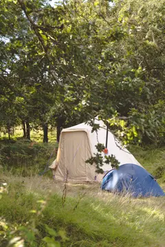 Bush Farm Wild Campsite