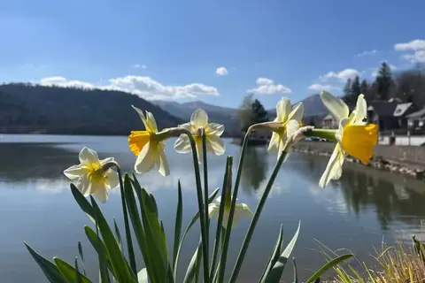 Aire de bivouac de Chambon-sur-Lac