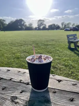 Bramley Park Camping