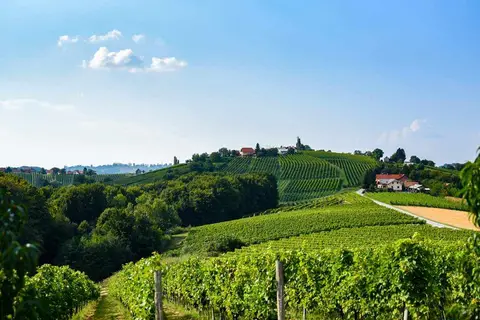Turistična kmetija Puklavec