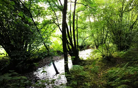 Aldridge Mill Wild Camping