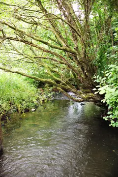 Aldridge Mill Wild Camping