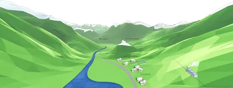 Campanula Camping