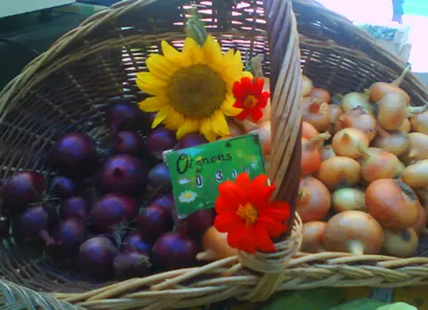 Agri Yourte
