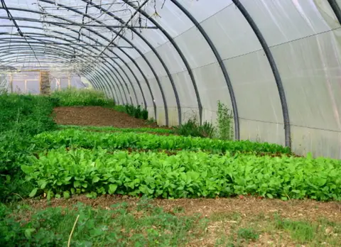 Agri Yourte