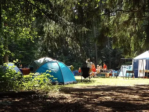 Camping du Domaine des Jonquilles