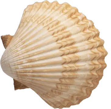 Le Cap du Roc