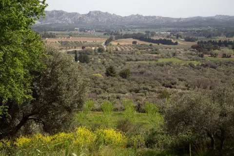 Mas de Nicolas