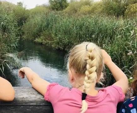 Camping Au Bois Joli