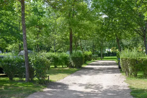 Les Trois Chênes