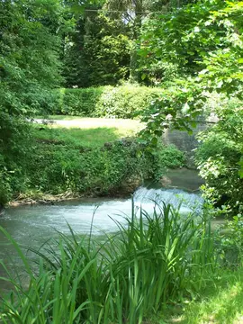 Camping des Trois Tilleuls