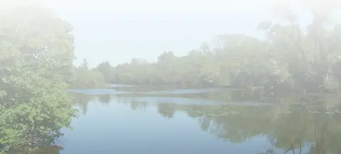 Camping de la Sensée