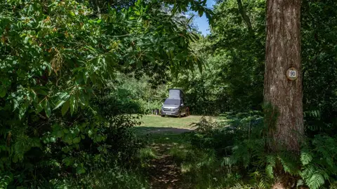 Graffham Camping and Caravanning Club Site