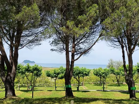 Camping Talaimendi