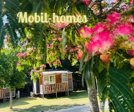 Amélia Camping
